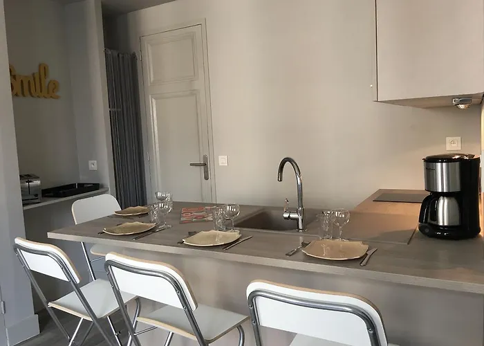 Celect'in Apartment Lyon